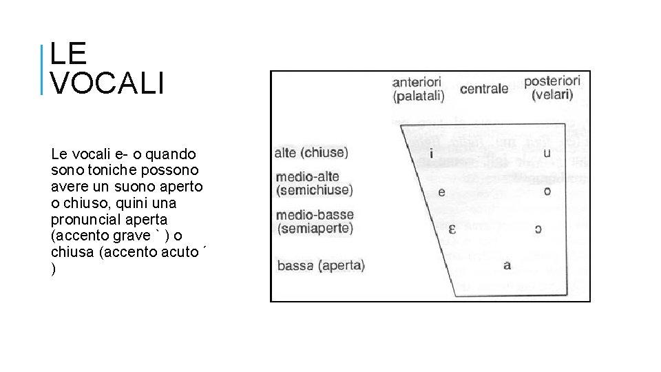 LE VOCALI Le vocali e- o quando sono toniche possono avere un suono aperto