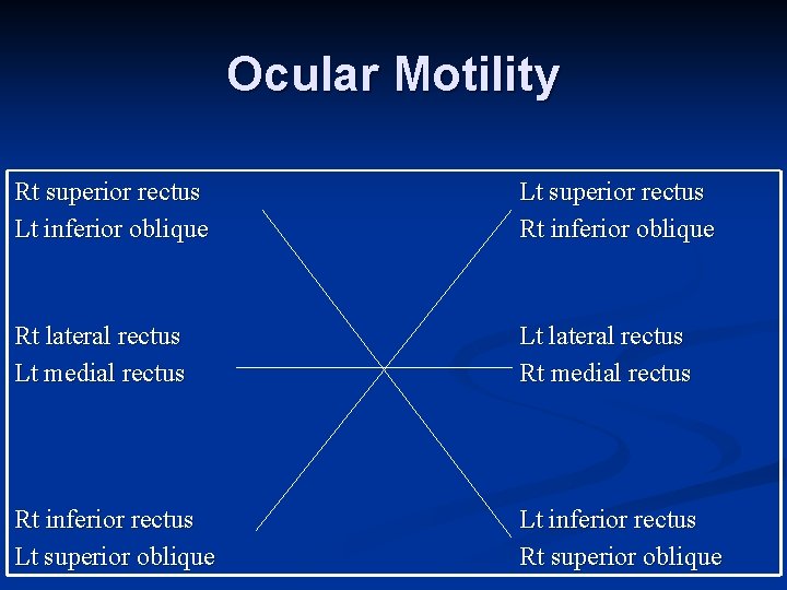 Ocular Motility Rt superior rectus Lt inferior oblique Lt superior rectus Rt inferior oblique