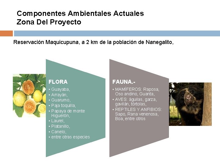 Componentes Ambientales Actuales Zona Del Proyecto Reservación Maquicupuna, a 2 km de la población