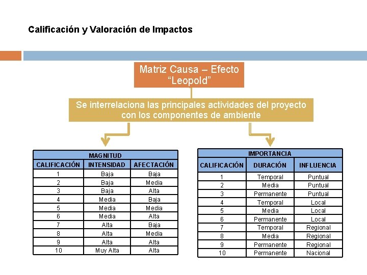Calificación y Valoración de Impactos Matriz Causa – Efecto “Leopold” Se interrelaciona las principales