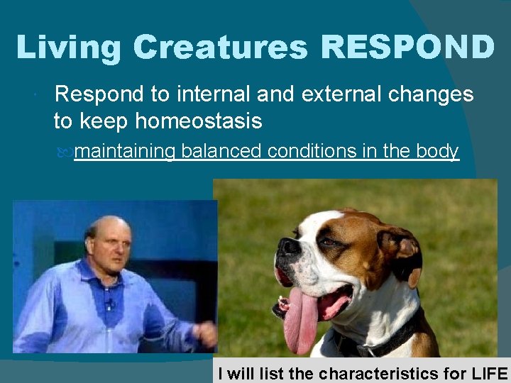 Living Creatures RESPOND Respond to internal and external changes to keep homeostasis maintaining balanced