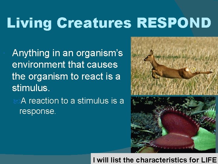 Living Creatures RESPOND Anything in an organism’s environment that causes the organism to react