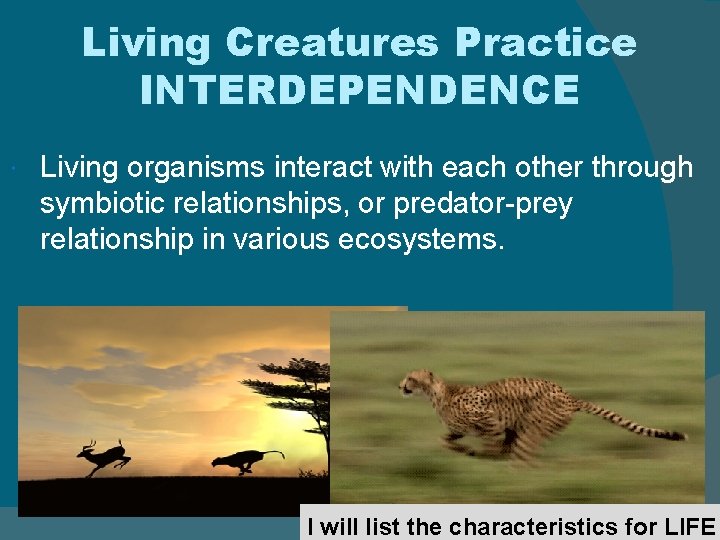 Living Creatures Practice INTERDEPENDENCE Living organisms interact with each other through symbiotic relationships, or