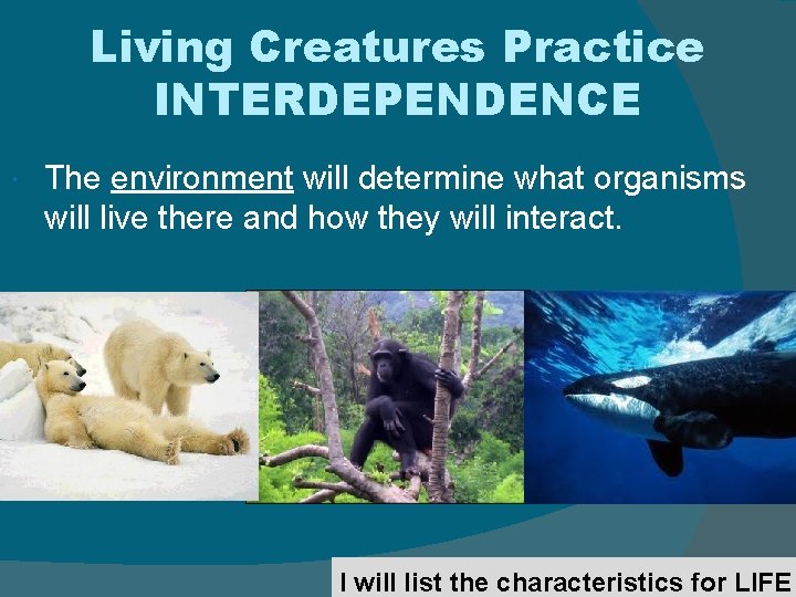 Living Creatures Practice INTERDEPENDENCE The environment will determine what organisms will live there and