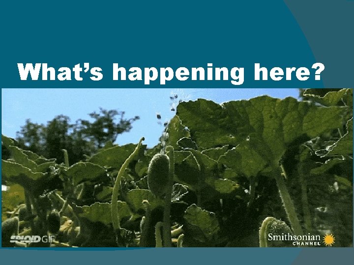 What’s happening here? 