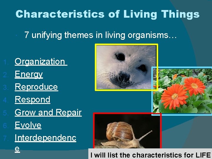 Characteristics of Living Things 1. 2. 3. 4. 5. 6. 7. 7 unifying themes