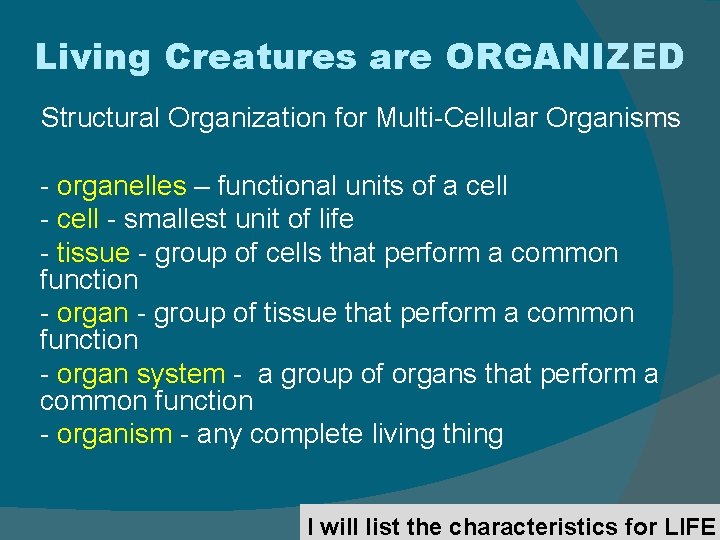 Living Creatures are ORGANIZED Structural Organization for Multi-Cellular Organisms - organelles – functional units