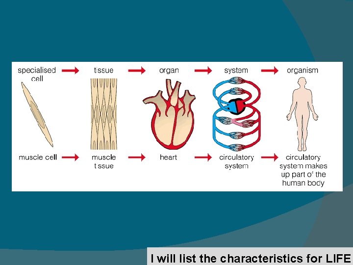 I will list the characteristics for LIFE 