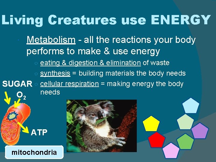 Living Creatures use ENERGY Metabolism - all the reactions your body performs to make