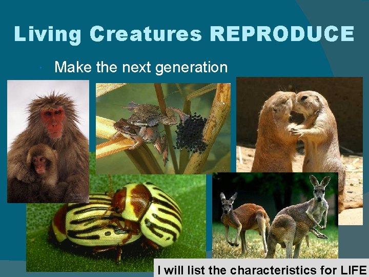 Living Creatures REPRODUCE Make the next generation I will list the characteristics for LIFE