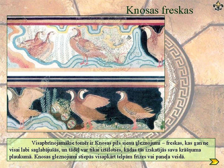 Knosas freskas Visapbrīnojamākie tomēr ir Knosas pils sienu gleznojumi – freskas, kas gan ne