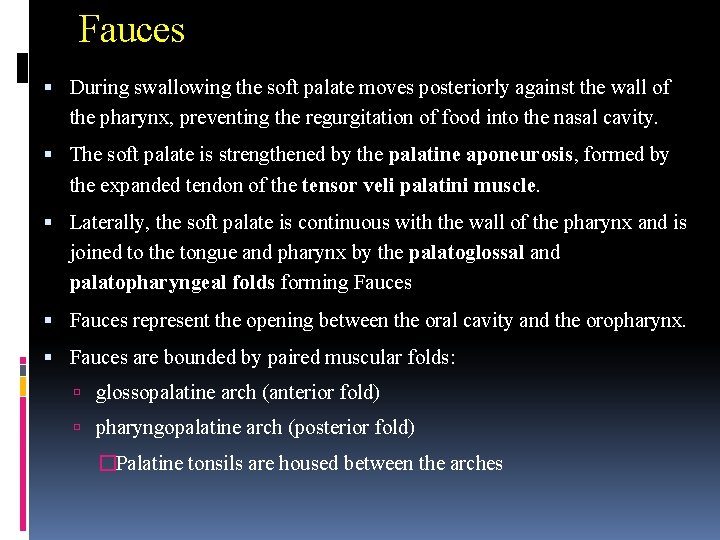 Fauces During swallowing the soft palate moves posteriorly against the wall of the pharynx,