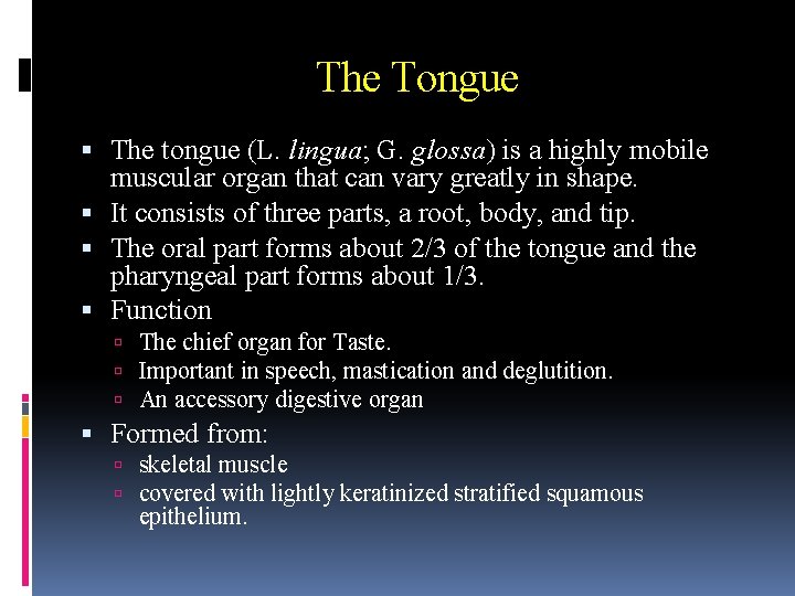 The Tongue The tongue (L. lingua; G. glossa) is a highly mobile muscular organ