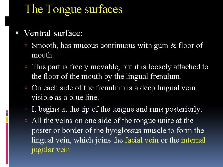 The Tongue surfaces Ventral surface: Smooth, has mucous continuous with gum & floor of