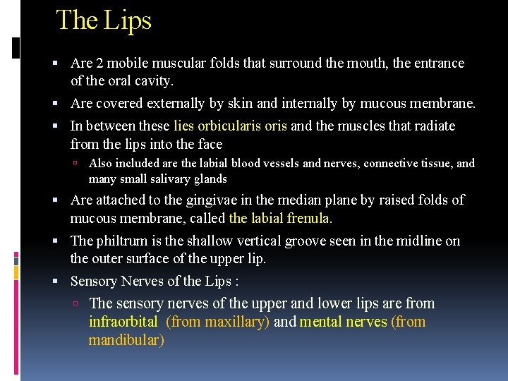 The Lips Are 2 mobile muscular folds that surround the mouth, the entrance of