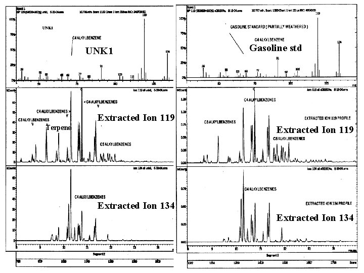 UNK 1 Gasoline std Extracted Ion 119 Terpene Extracted Ion 119 Extracted Ion 134 UNK 1 Gasoline std Extracted Ion 119 Terpene Extracted Ion 119 Extracted Ion 134