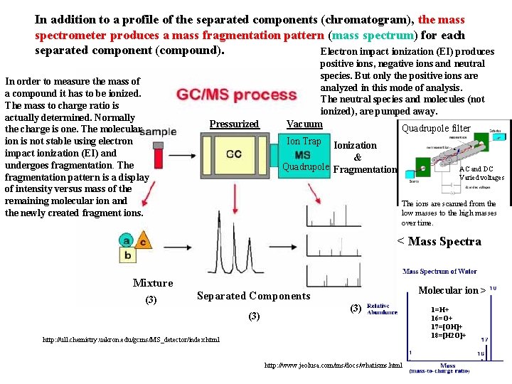 In addition to a profile of the separated components (chromatogram), the mass spectrometer produces In addition to a profile of the separated components (chromatogram), the mass spectrometer produces
