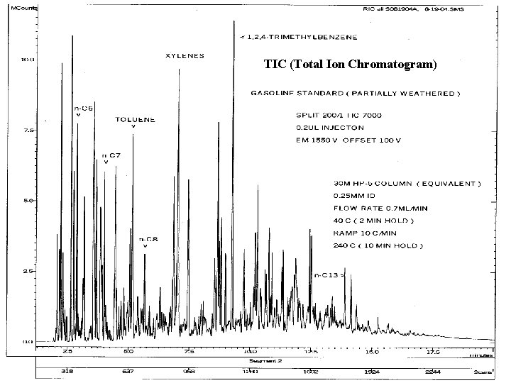 TIC (Total Ion Chromatogram) TIC (Total Ion Chromatogram)