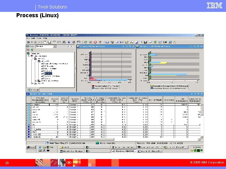 Tivoli Solutions Process (Linux) 29 © 2006 IBM Corporation 