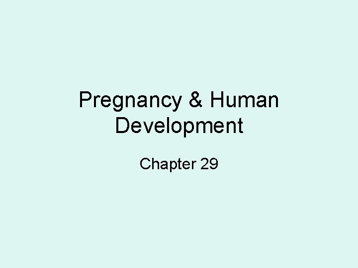 Pregnancy & Human Development Chapter 29 