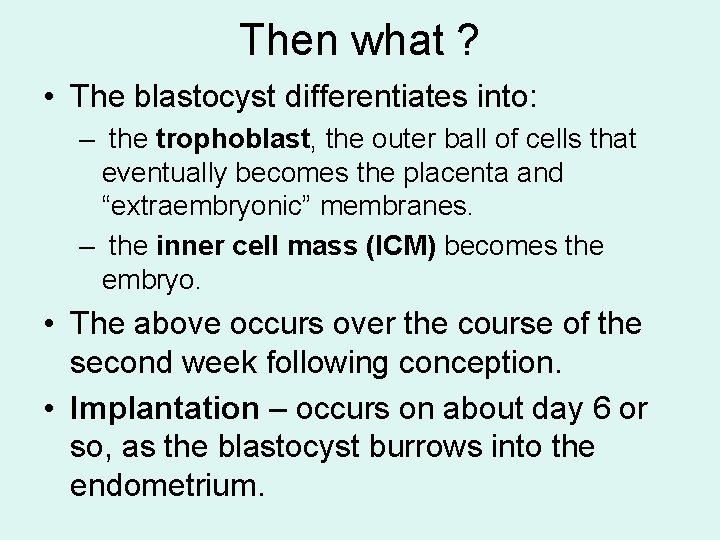 Then what ? • The blastocyst differentiates into: – the trophoblast, the outer ball