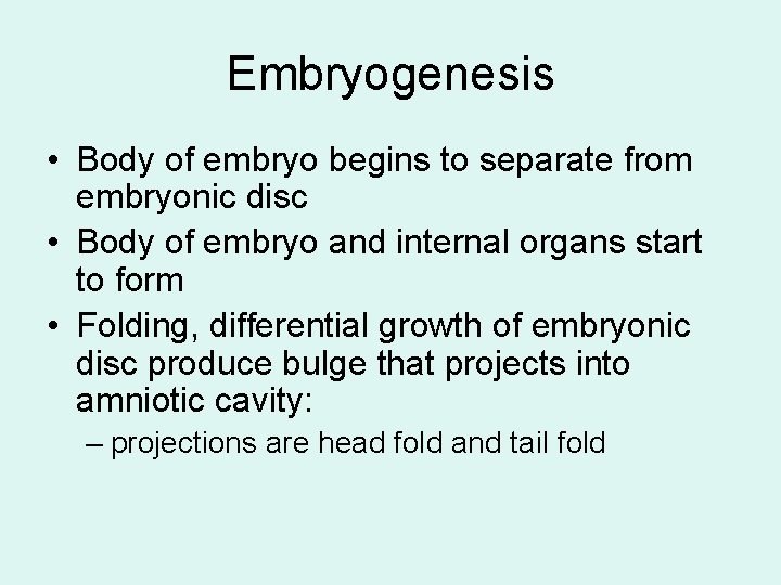 Embryogenesis • Body of embryo begins to separate from embryonic disc • Body of