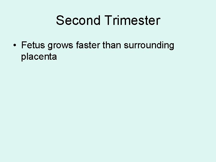 Second Trimester • Fetus grows faster than surrounding placenta 