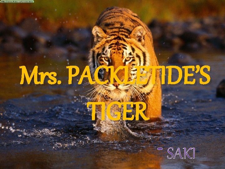 Mrs. PACKLETIDE’S TIGER 