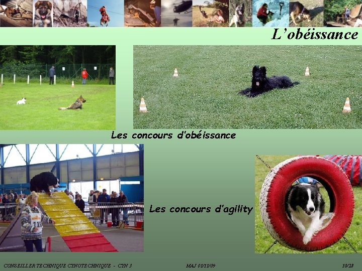 L’obéissance Les concours d’agility CONSEILLER TECHNIQUE CYNOTECHNIQUE - CYN 3 MAJ 01/11/09 10/28 