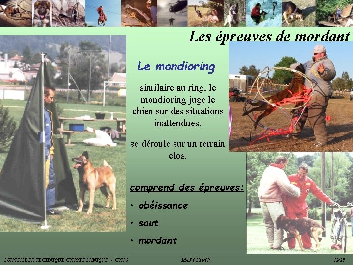 Les épreuves de mordant Le mondioring similaire au ring, le mondioring juge le chien