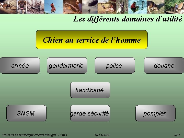 Les différents domaines d’utilité Chien au service de l’homme armée gendarmerie police douane handicapé