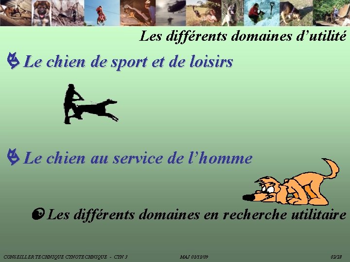 Les différents domaines d’utilité Le chien de sport et de loisirs Le chien au