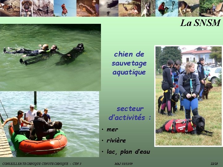 La SNSM chien de sauvetage aquatique secteur d’activités : • mer • rivière •