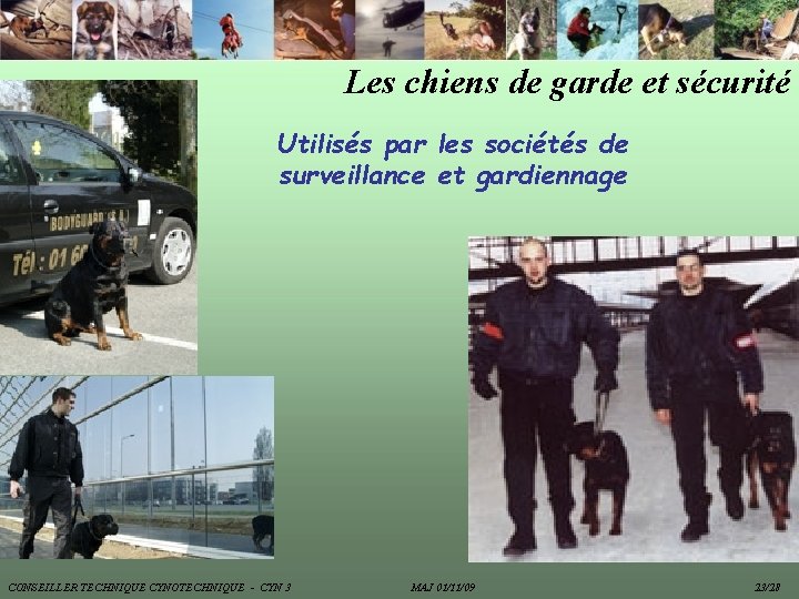 Les chiens de garde et sécurité Utilisés par les sociétés de surveillance et gardiennage