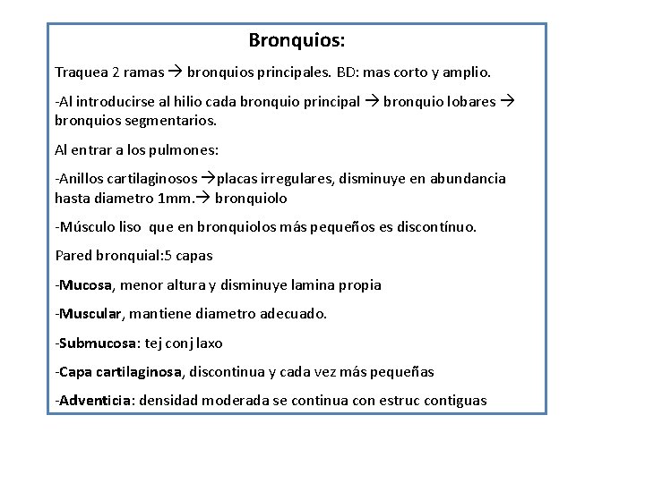 Bronquios: Traquea 2 ramas bronquios principales. BD: mas corto y amplio. -Al introducirse al