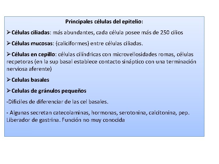  Principales células del epitelio: ØCélulas ciliadas: más abundantes, cada célula posee más de