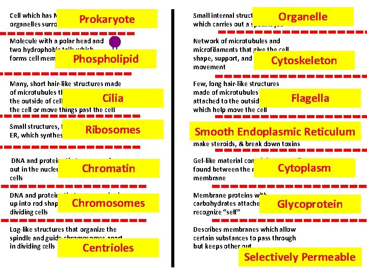 Organelle Cell which has NO nucleus or organelles surrounded by membranes Molecule with a