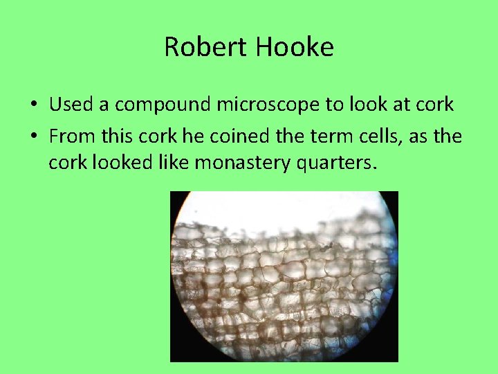 Robert Hooke • Used a compound microscope to look at cork • From this