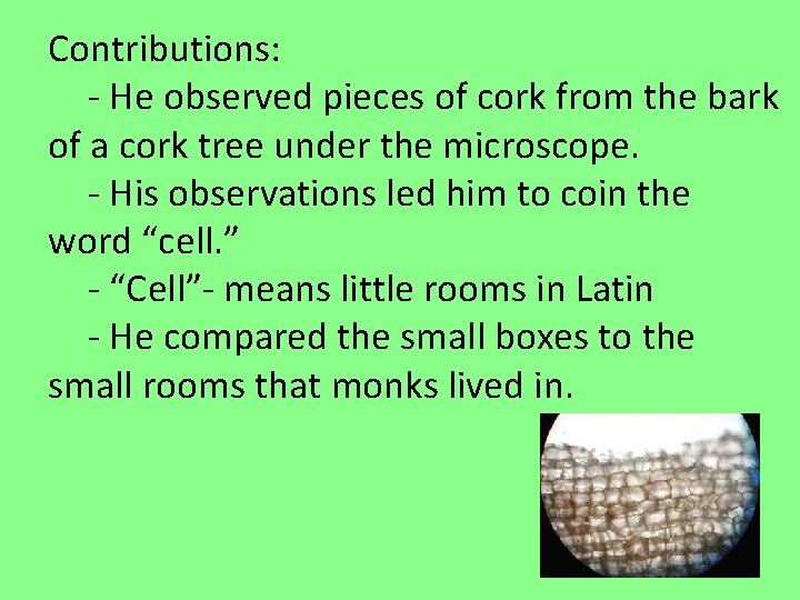 Contributions: - He observed pieces of cork from the bark of a cork tree