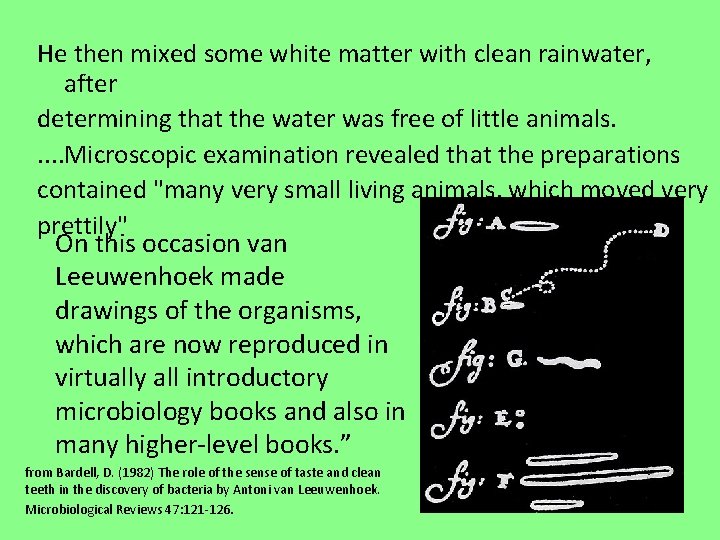 He then mixed some white matter with clean rainwater, after determining that the water