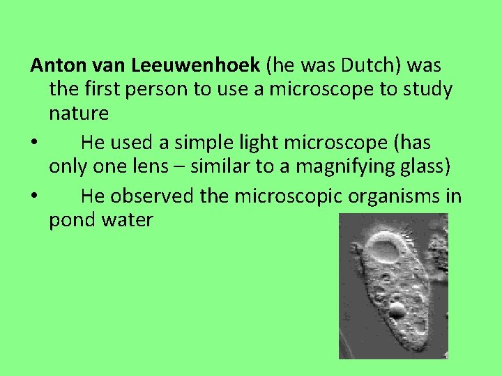 Anton van Leeuwenhoek (he was Dutch) was the first person to use a microscope