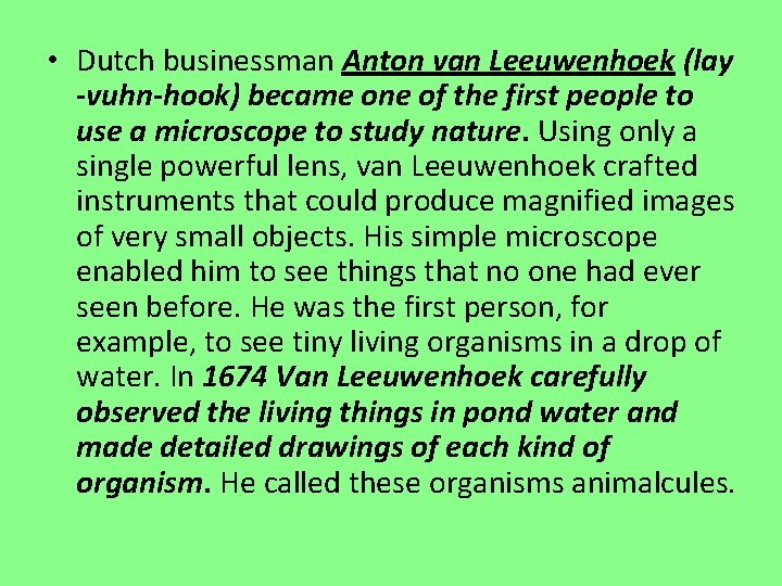  • Dutch businessman Anton van Leeuwenhoek (lay -vuhn-hook) became one of the first