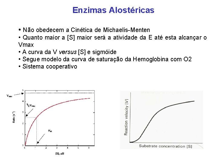 Enzimas Alostéricas • Não obedecem a Cinética de Michaelis-Menten • Quanto maior a [S]