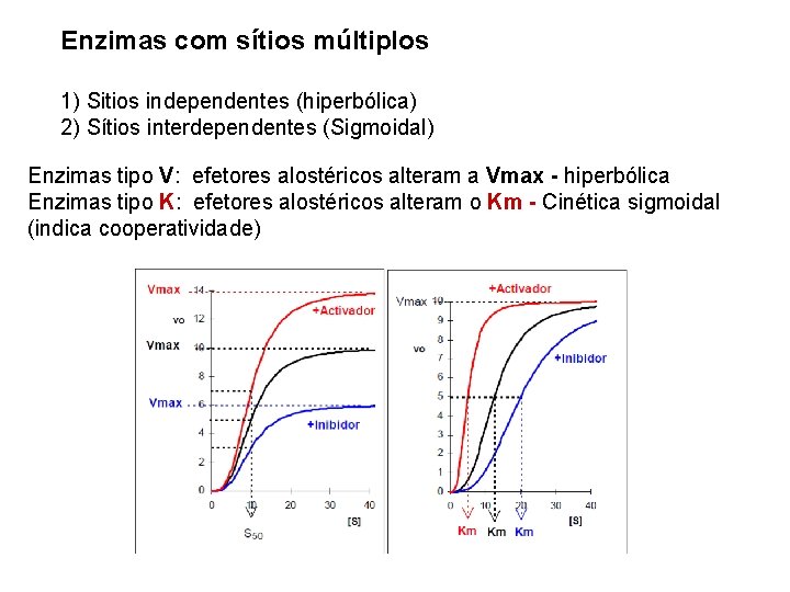 Enzimas com sítios múltiplos 1) Sitios independentes (hiperbólica) 2) Sítios interdependentes (Sigmoidal) Enzimas tipo