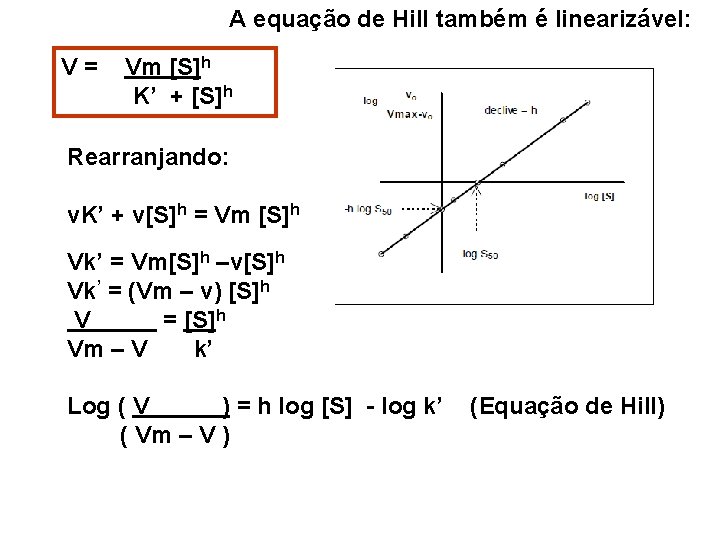A equação de Hill também é linearizável: V= Vm [S]h K’ + [S]h Rearranjando: