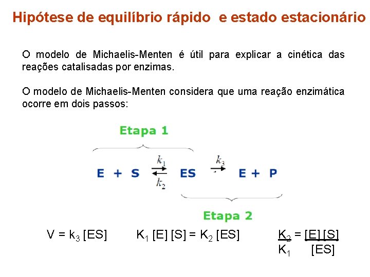 Hipótese de equilíbrio rápido e estado estacionário O modelo de Michaelis-Menten é útil para