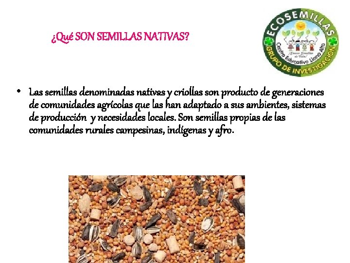 ¿Qué SON SEMILLAS NATIVAS? • Las semillas denominadas nativas y criollas son producto de