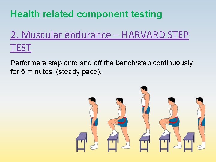 Health related component testing 2. Muscular endurance – HARVARD STEP TEST Performers step onto
