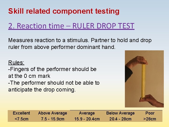 Skill related component testing 2. Reaction time – RULER DROP TEST Measures reaction to