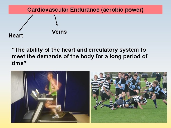 Cardiovascular Endurance (aerobic power) Heart Veins “The ability of the heart and circulatory system